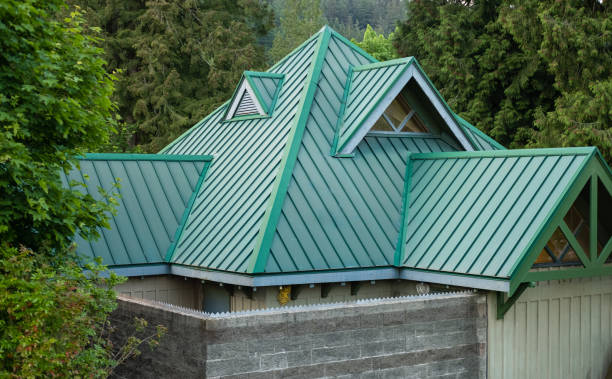Best Roof Moss and Algae Removal  in Williams, OR